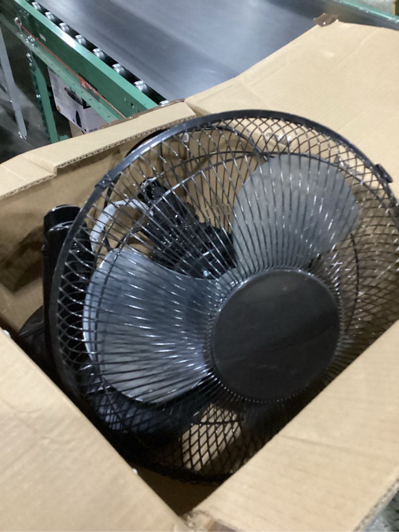 fan 