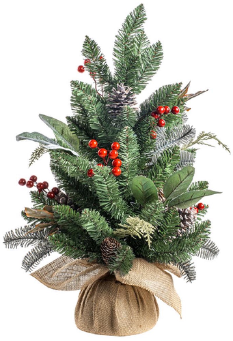 (Similar)Holiday Living Fresh Christmas Potted Greenery