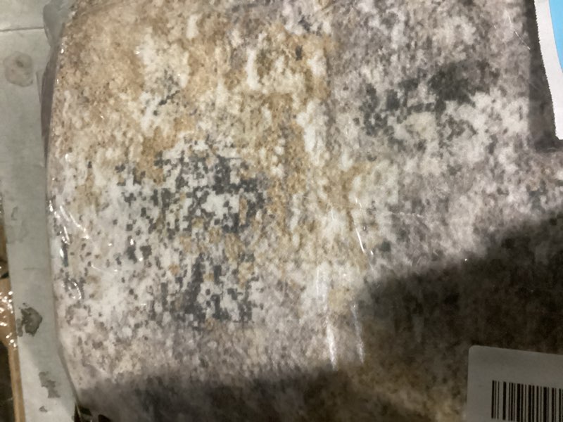 Condition photo showing Good Condition for 8x10 Area Rug Living Room Rugs - Washable Neutral Modern Abstract Soft Thin Large Rug Indoor Floor No Slip Rug Carpet for Bedroom Under Dining Table Home Office Decor - Golden Grey Golden Grey 8' x 10' (Rectangular)