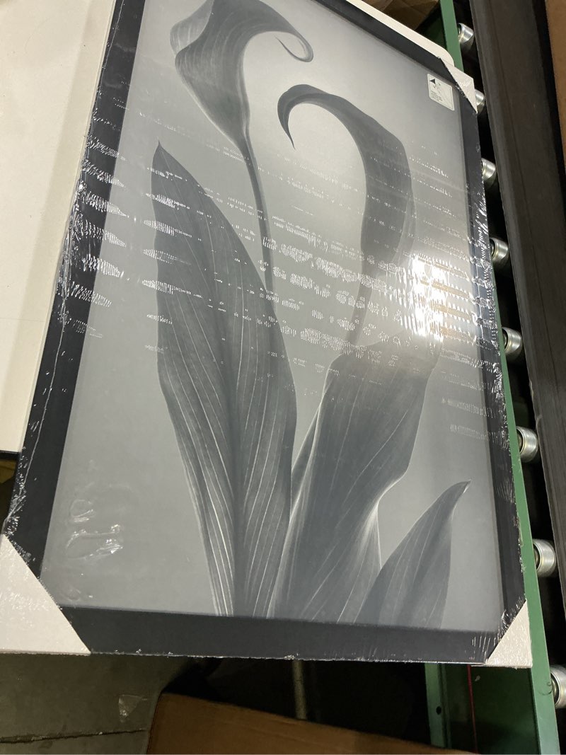 Condition photo showing Good Condition for americanflat 22x34 poster frame with polished plexiglass - black picture frame - wide photo frames made of engineered wood for vertical or horizontal wall display - epic collection - black