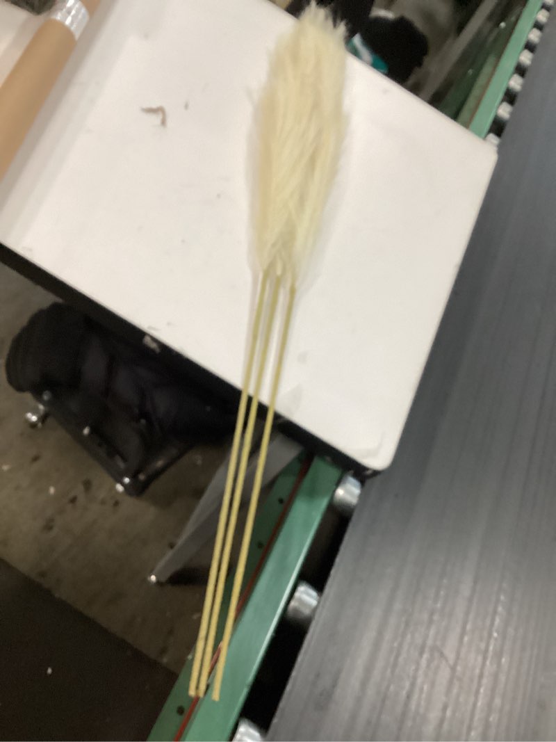 Condition photo showing Good Condition for Faux Pampas Grass Large 3-Pack - 45.6" Mess-Free Artificial Pampas Grass Decor Tall Stems - Decorative Fluffy Fake Pampas Grass for Boho, Farmhouse, Rustic Home Decor (White)