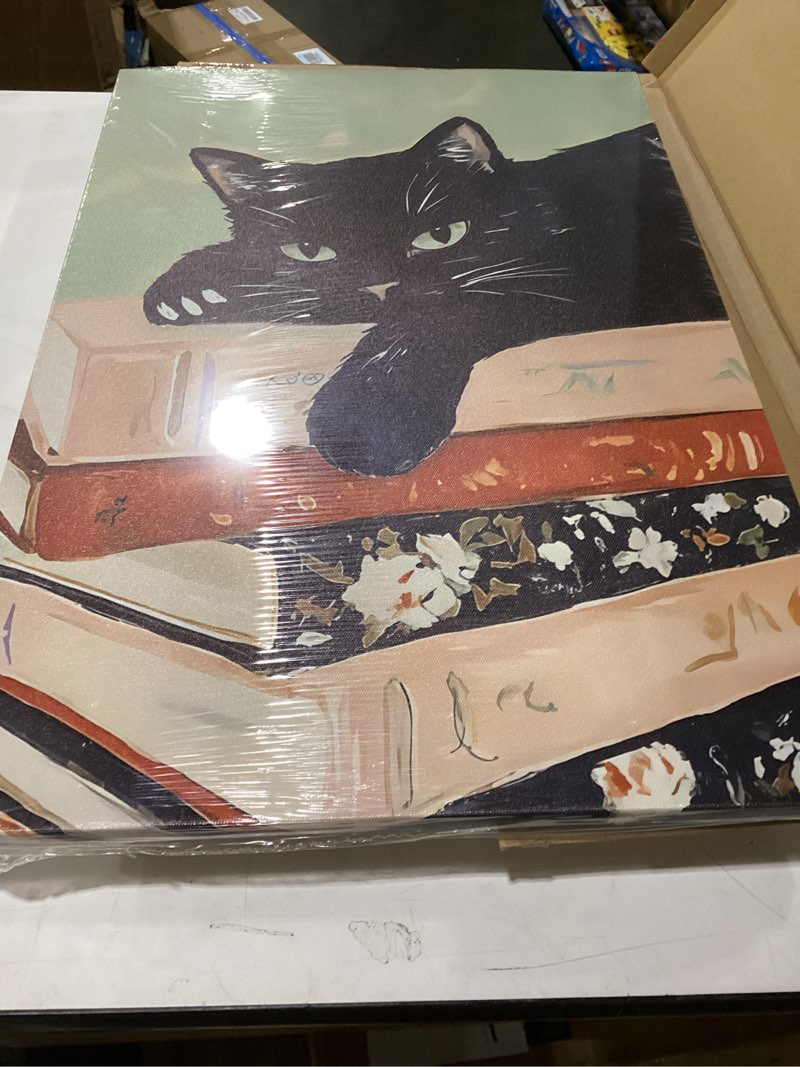 Condition photo showing New/Like New for Framed Black Cat Canvas Wall Art, Funny Cat lying on a pile of books Painting, Abstract Animal Posters Prints Wall Decor for Living Room Bathroom Gallery Dining Room Decor 16x24 inch Black Cat-O Wrapped Canvas 24"L x 16"W