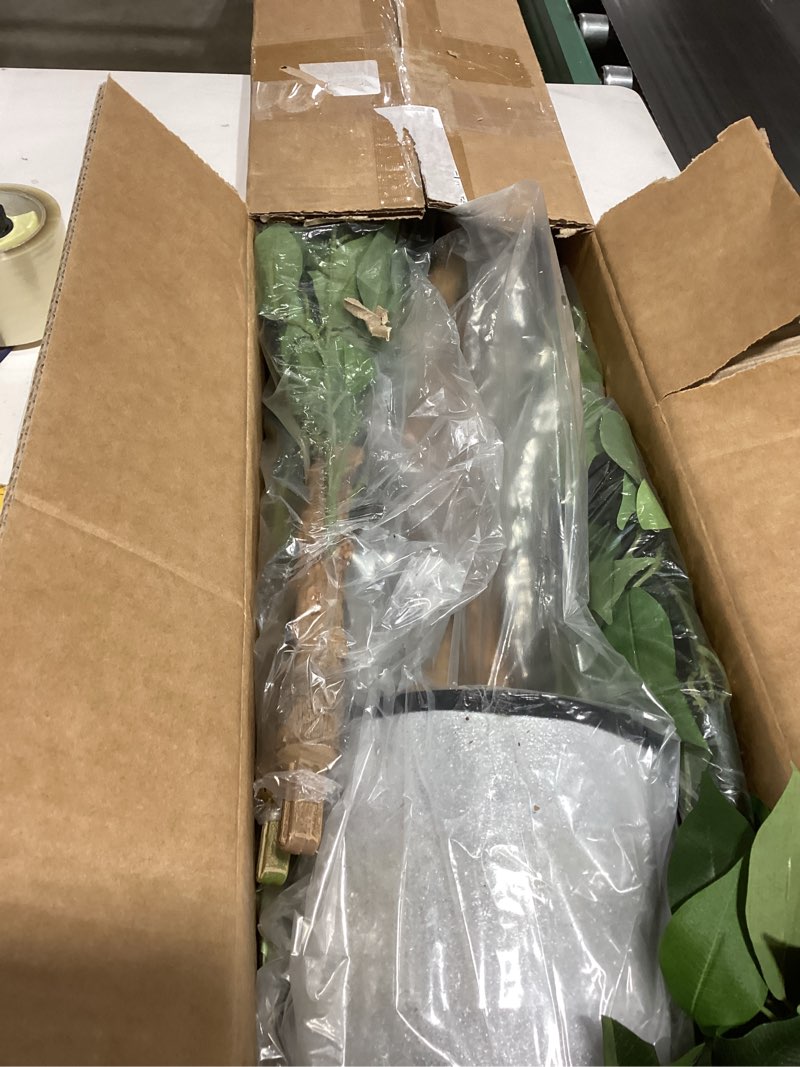 Condition photo showing Good Condition for Artificial Ficus Tree 5FT Faux Silk Plants with Sturdy Plastic Nursery Pot,Fake Ficus Trees for Home Office Farmhouse Indoor Outdoor Decor Perfect Housewarming Gift (5FT-1Pack)
