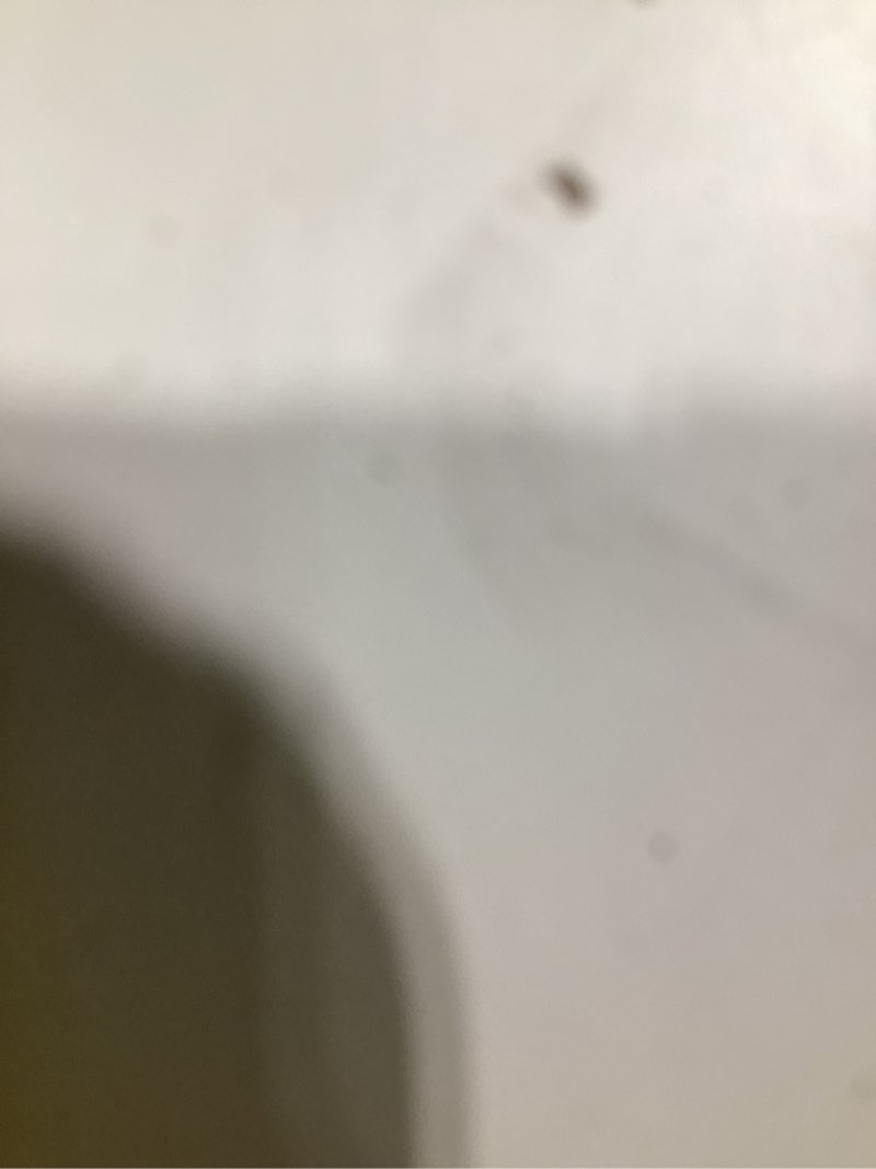 https://lotting-media.assets.bidfta.com/lotting_b3438543-dc05-4e5a-ac93-fe51fd49dccd