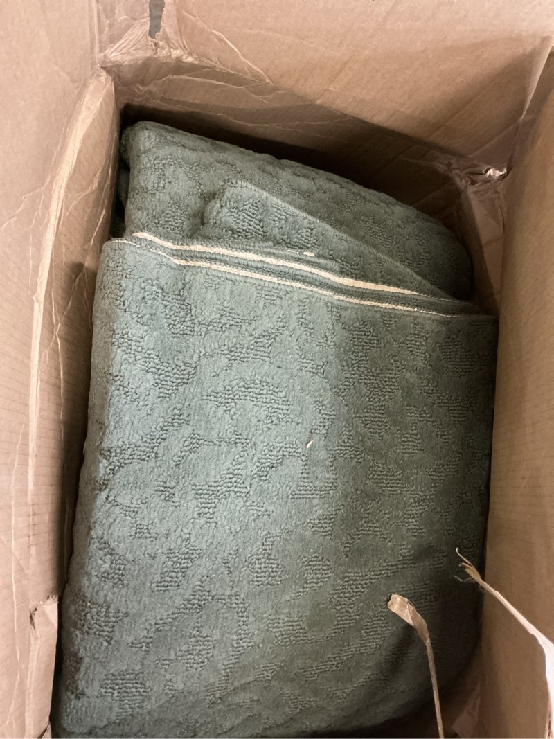Condition photo showing Good Condition for Garland Rug Ivy 12 Ft. X 15 Ft. Sage Green Floral Solid Color Area Rug - Durable, Stylish, and Soft Rug for Living Rooms, Hallways, Bedrooms, and High-Traffic Areas Sage 12' x 15' (Rectangular)