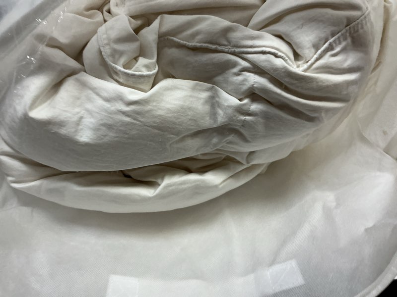 Condition photo showing As Is for premium down duvet insert, twin, down