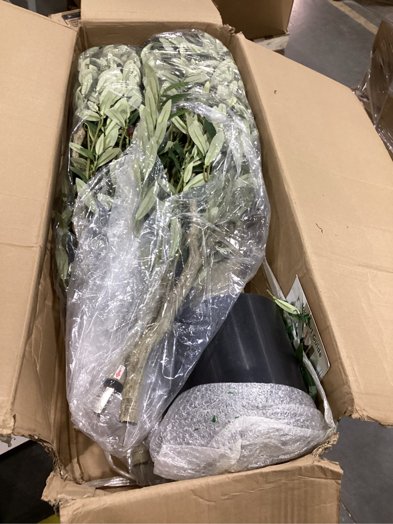 Condition photo showing Good Condition for 7ft faux olive tree - large artificial olive tree with realistic 1513 leaves and 122 olives - lush and elegant fake olive tree with for indoor outdoor office living room decor