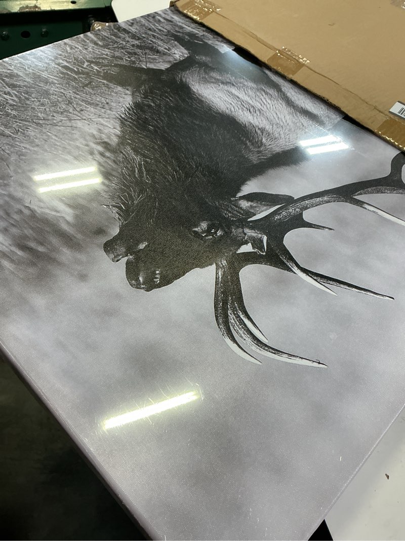 Condition photo showing New/Like New for conipit black white bull elk canvas wall art animal picture framed 24x36 inch deer artwork painting for living room bedroom farmhouse wall decor ready to hang