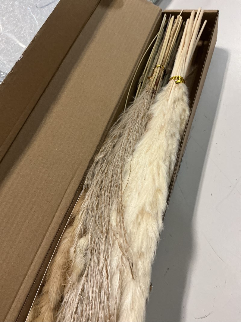 Condition photo showing Good Condition for Dried Pampas Grass Decor, 100 Stems Pampas Grass Contains Bunny Tails Dried Flowers, Reed Grass Bouquet for Wedding Boho Flowers Home Table Decor, Rustic Farmhouse Party (17", White and Brown) 100PCS