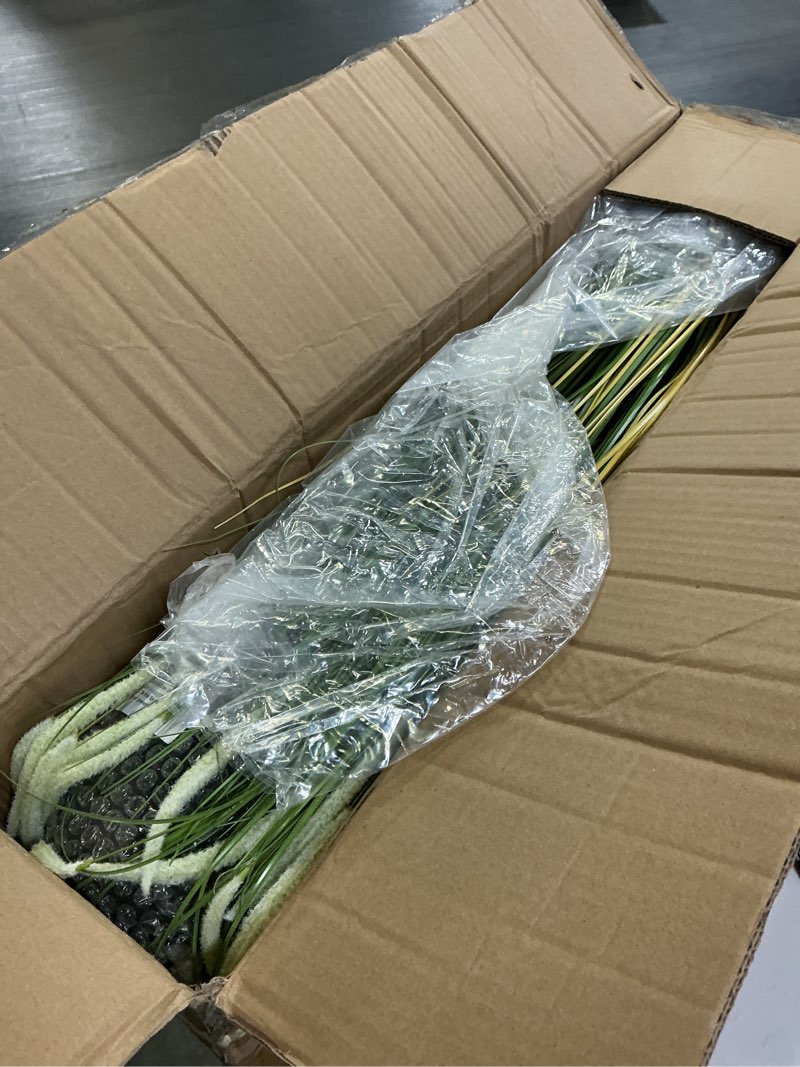 Condition photo showing Good Condition for joneshousaedeco d463b01 artificial white asian fox tail grass indoor potted fake leaves decorative leaves no hassle easy to clean perfect for bringing indoor spaces to life 2