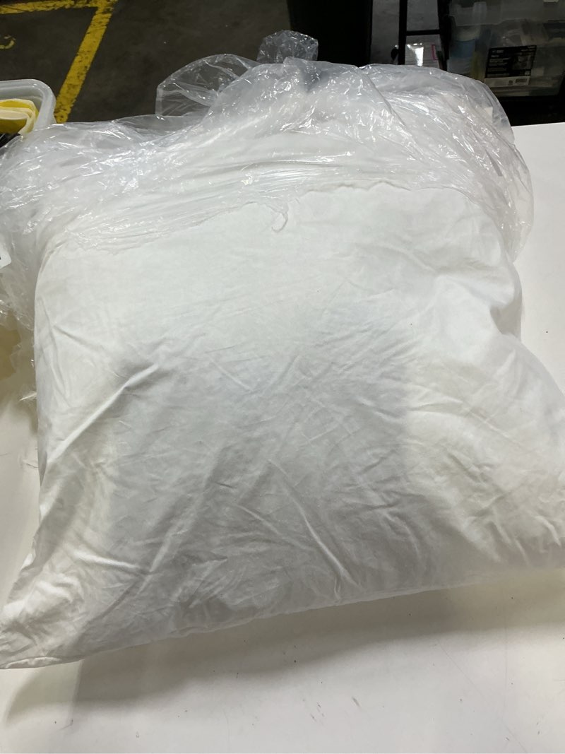 Condition photo showing As Is for quince premium feather pillow insert (set of 1)  20x20, no color
