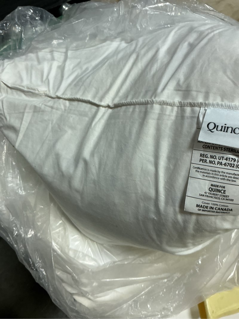 Condition photo showing As Is for (only one piece)  premium feather pillow insert (set of 2), 20x20, no color