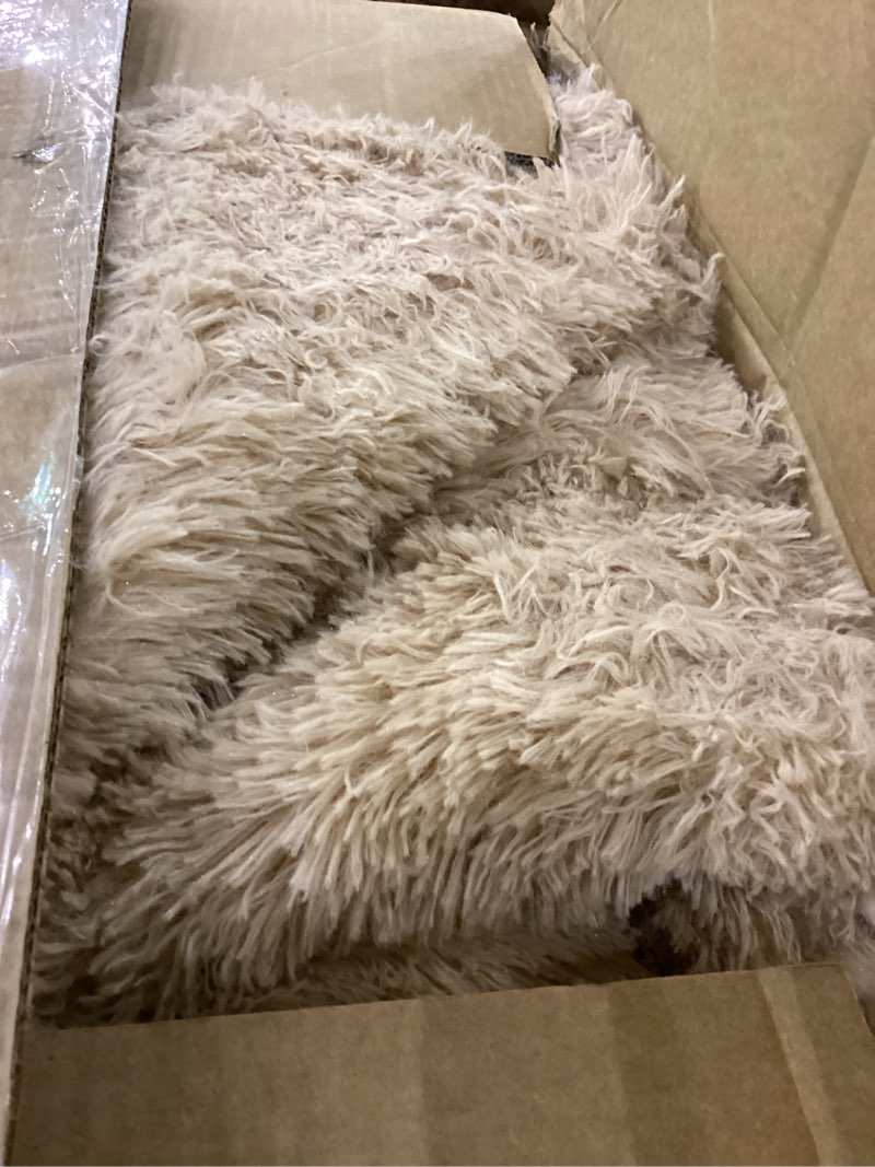 Condition photo showing Good Condition for FinRe?c 9x12 Feet Tan Rugs for Living Room Bedroom, Fluffy Plush Area Rug, Non-Slip High Pile Shaggy Rug for Kids Room Dorm Room Home Decor, Indoor Solid Shag Floor Carpet Light Tan 9' x 12' (Rectangular)