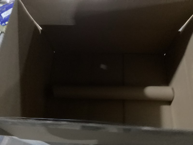 Condition photo showing Good Condition for 120-pack bunny tails grass 17 inch fluffy rabbit tail grass dried flowers branches vase filler dried pampas grass decor for home/wedding/vase/office/party [orange, golden yellow]