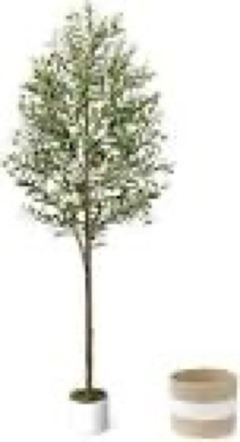  LuceAlberi Arcificia..en Office Living Room 