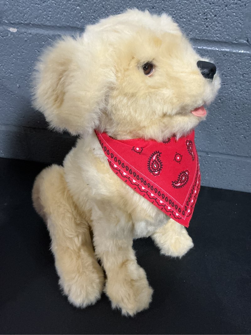 Condition photo showing As Is for joy for all companion pet dog (golden pup)