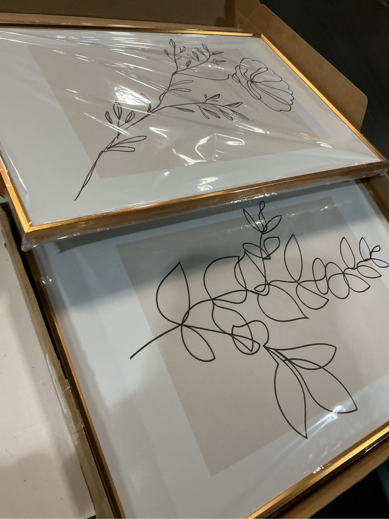 Condition photo showing Good Condition for chditb floral line framed canvas wall art set, minimalist flower wall decor, neutral beige plants wall painting, abstract botanical leaf stripe art print for living room, bedroom, office - 16"x24"x3 flower 16"l x 24"w