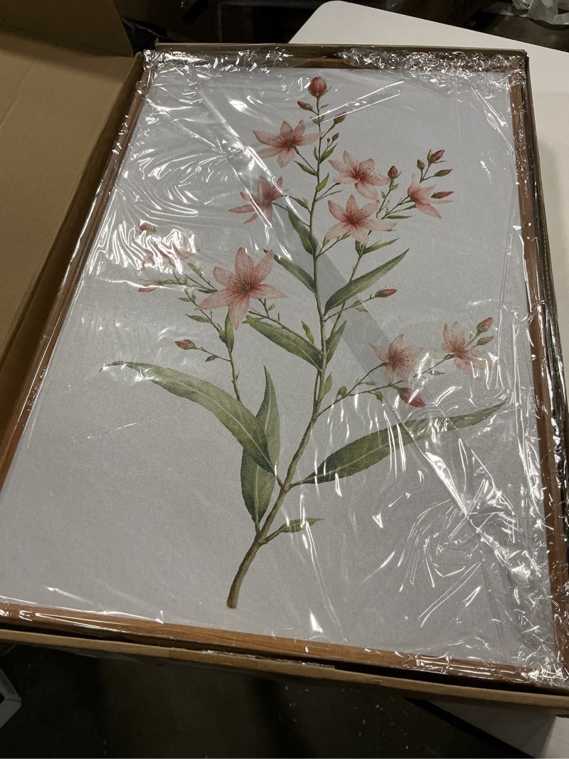 Condition photo showing Good Condition for anhuib boho floral canvas wall art, framed minimalist beige wildflower wall decor, neutral botanical painting 16x24 inch set of 3 for living room bedroom dining room 24"l x 16"w floral