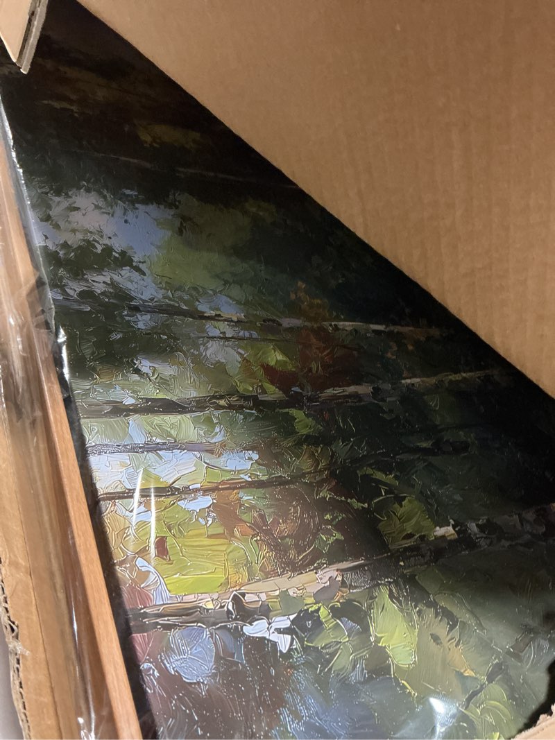 Condition photo showing Good Condition for ARPEOTCY Rustic Landscape Wall Art for Living Room Fireplace Hallway, Large Framed Art,20x40in,Vintage Farmhouse Earthy Moody Cozy Decor, Nature Forest Tree Path Paintings Artwork for Spring Summer Birch Tree Path 40"L x 20"W