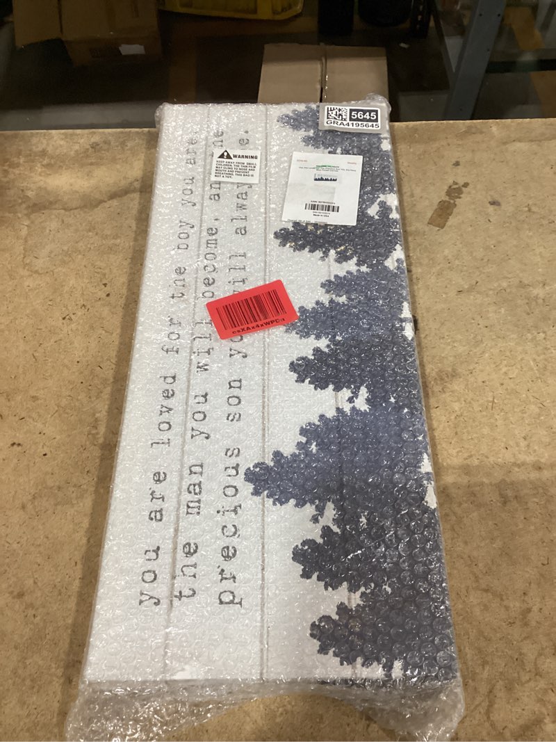 Condition photo showing Good Condition for usa artist lil' rue - 'precious son you are phrase', canvas art, 24 x 10inches - hanging wall décor (1.5in depth) - made in rhode island by stupell industries wrapped canvas (1.5"d) unframed 24"l x 10"w