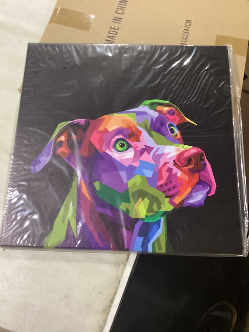 Abstract animals canvas, 18” x 18”