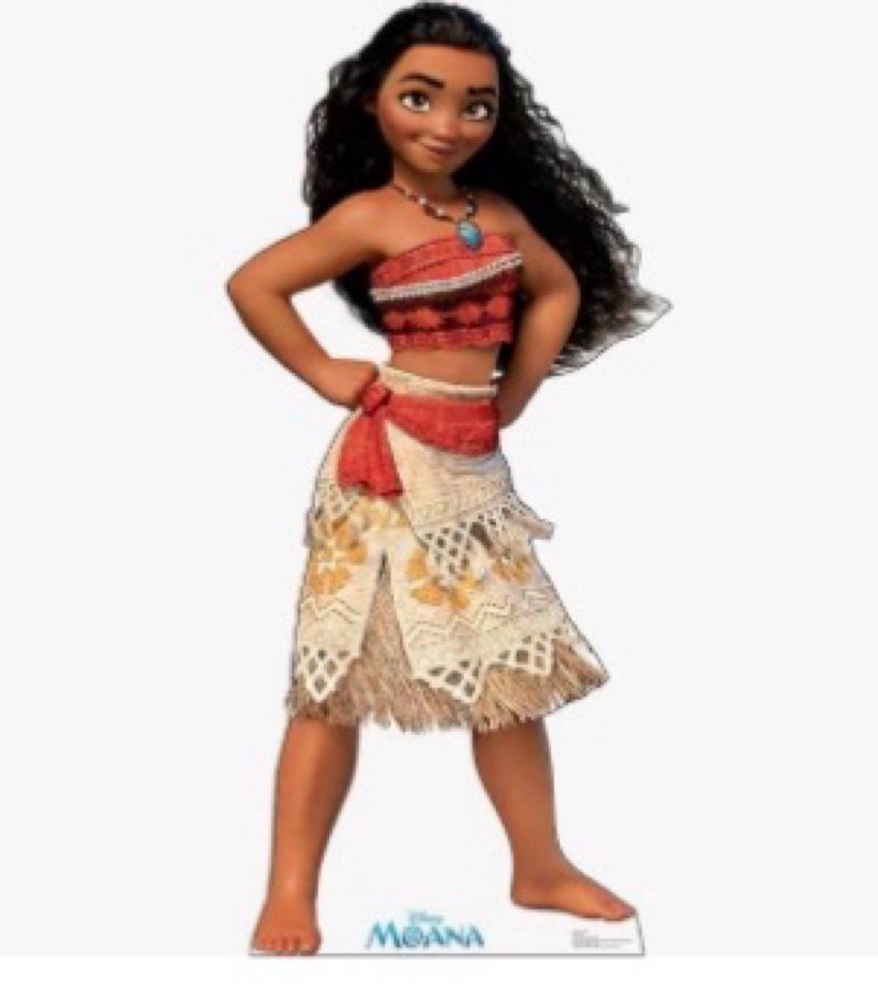 Cardboard People Pua & Heihei Life Size Cardboard Cutout Standup - Disney's Moana 2 (2024 Film)