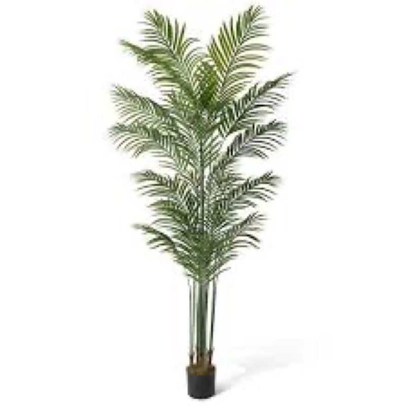 Plant decoration misc