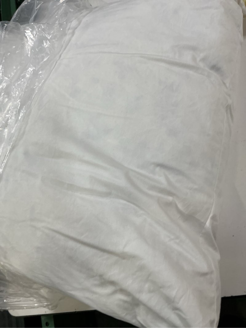 Condition photo showing Good Condition for premium feather pillow insert (1 piece), 14x36, no color