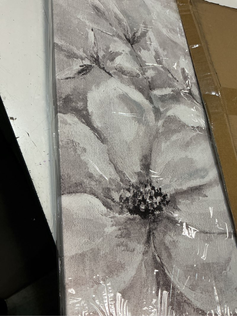Condition photo showing New/Like New for white grey flowers wall pictures abstract blossoom grey floral painting modern framed elegant prints 24"x 24" 24"l x 24"w grey flowers