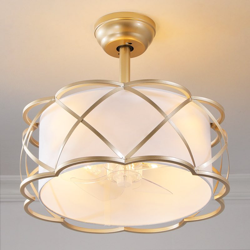 19'' Modern Ceiling Fan with Light