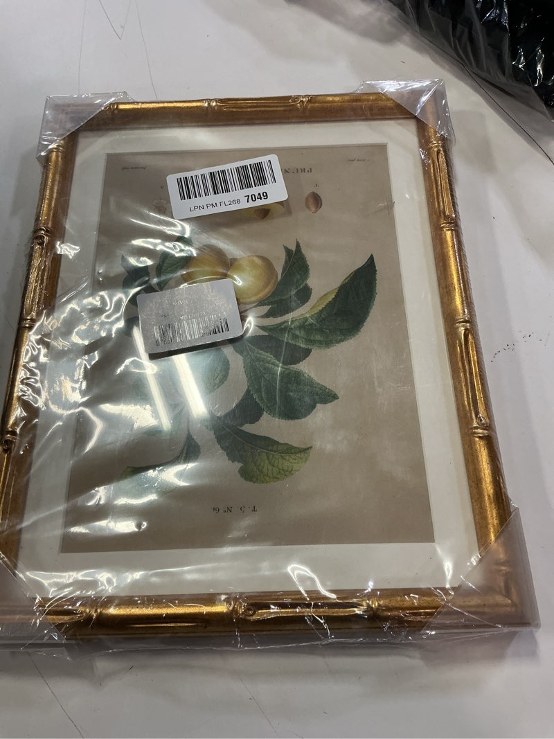 Condition photo showing Good Condition for insimsea gold bamboo framed canvas wall art, retro nature plum botanical paintings, antique vintage picture frame with mat, victorian home wall decor for living room kitchen dining, 11x14inch plum 14"l x 11"w