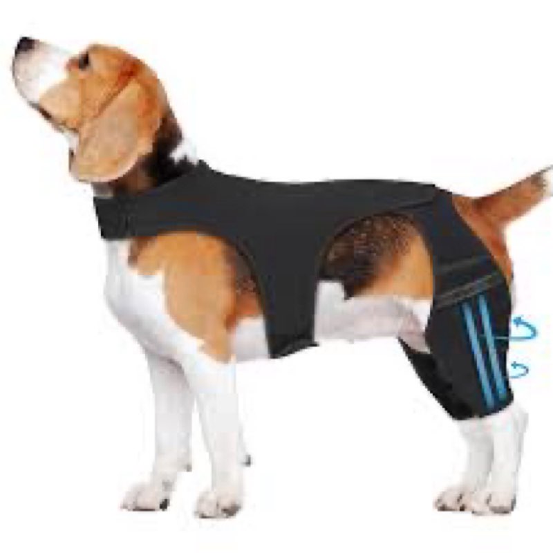 marnonsis dog knee brace for torn acl hind leg, 4 stabilizers dog leg braces for back leg, adjustabl