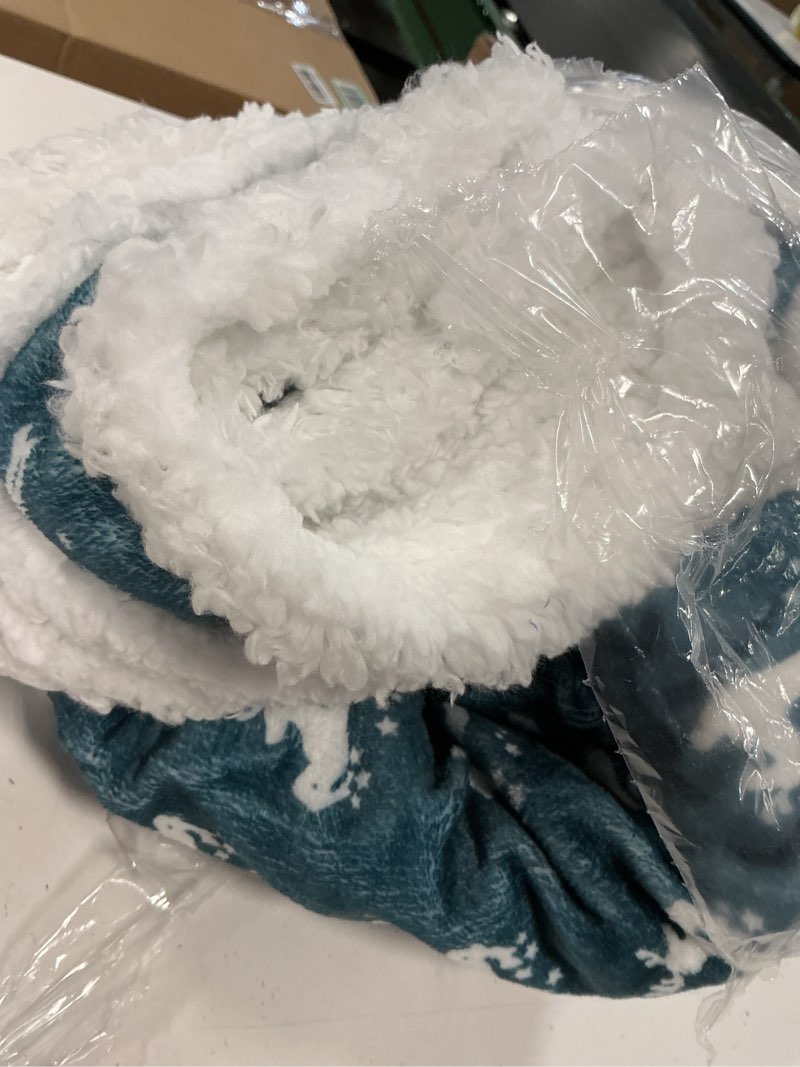 Condition photo showing Good Condition for lbro2m sherpa fleece bed blanket queen size,christmas super soft fuzzy plush warm cozy fluffy microfiber couch throw velvet double reversible luxurious blankets green white deer green white deer queen(90x90 inches)