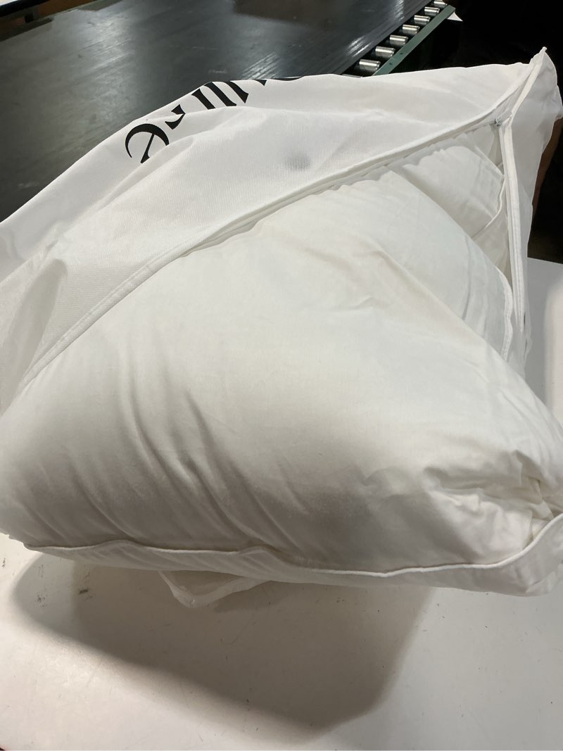 Condition photo showing As Is for luxe goose down pillow, king, medium