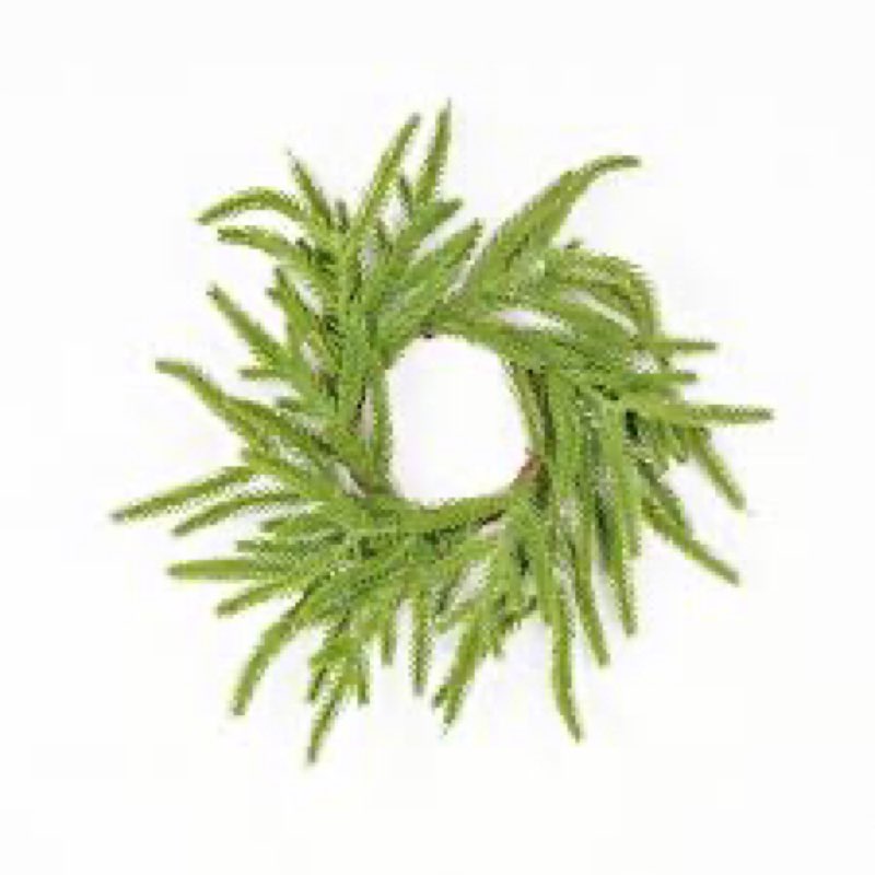 Vita Domi 24" Real Touch Norfolk Pine Wreath - Christmas Wreath for Front Door, Faux Cedar - Green