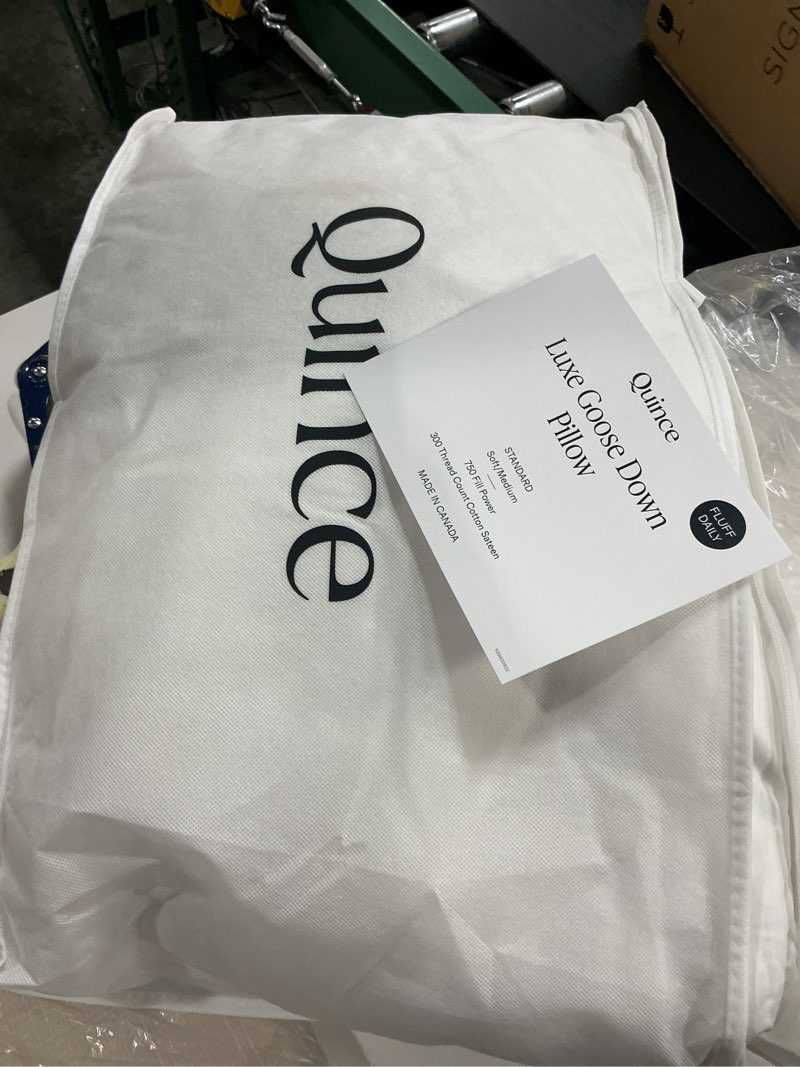 Condition photo showing Good Condition for quince luxe goose down pillow medium