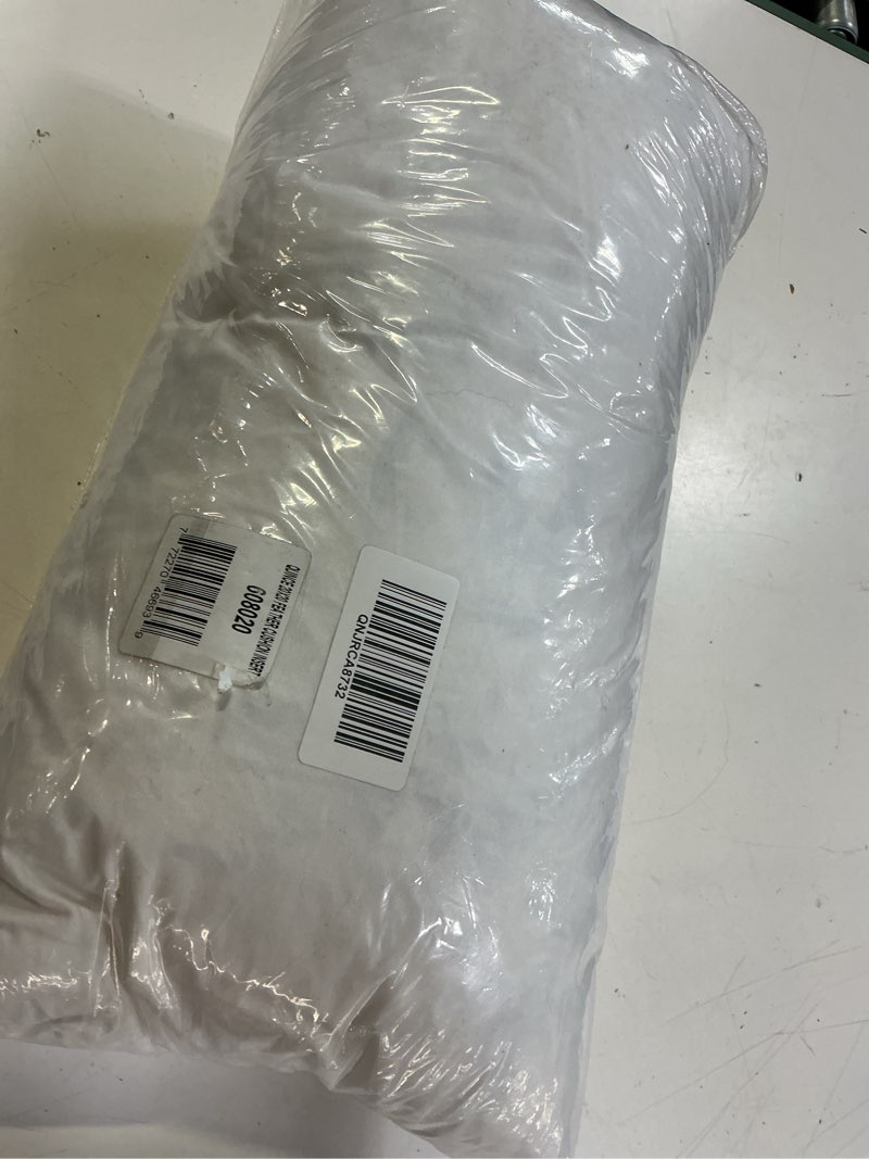 Condition photo showing Good Condition for quince premium feather pillow insert  20”x20” ,white 