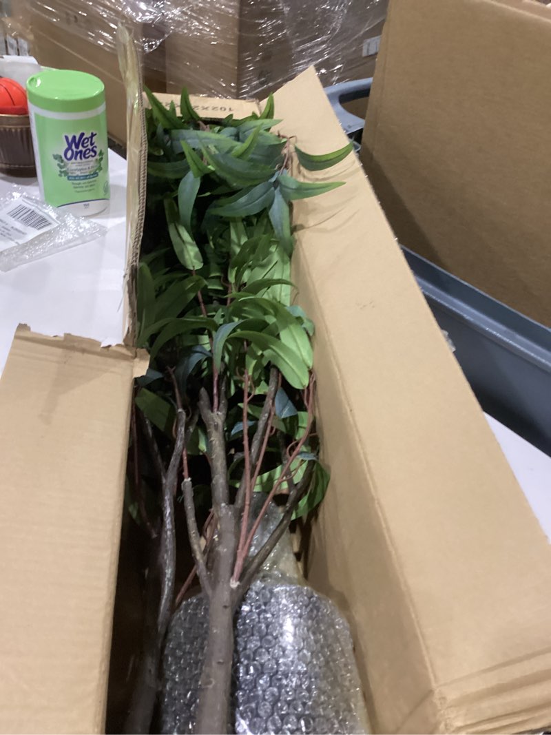Condition photo showing Good Condition for Artificial Eucalyptus Tree 7ft(84in) Faux Floor Potted Tree for Indoor Decor Large Realistic Trees Plants with Silk Leaves and Natural Wood Trunk for Home Living Room,Office Foyer Decor. Eucalyptus Tree(2) 7ft