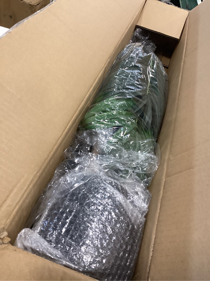 Condition photo showing Good Condition for Artificial Palm Tree 5.5ft Tall Fake Palm Tree Indoor Decor with 15 Trunks and Real Bark Design Faux Tropical Areca Palm Silk Floor Plant in Pot for Home Office Living Room Bedroom Decor 1pcs 1 5ft 6in