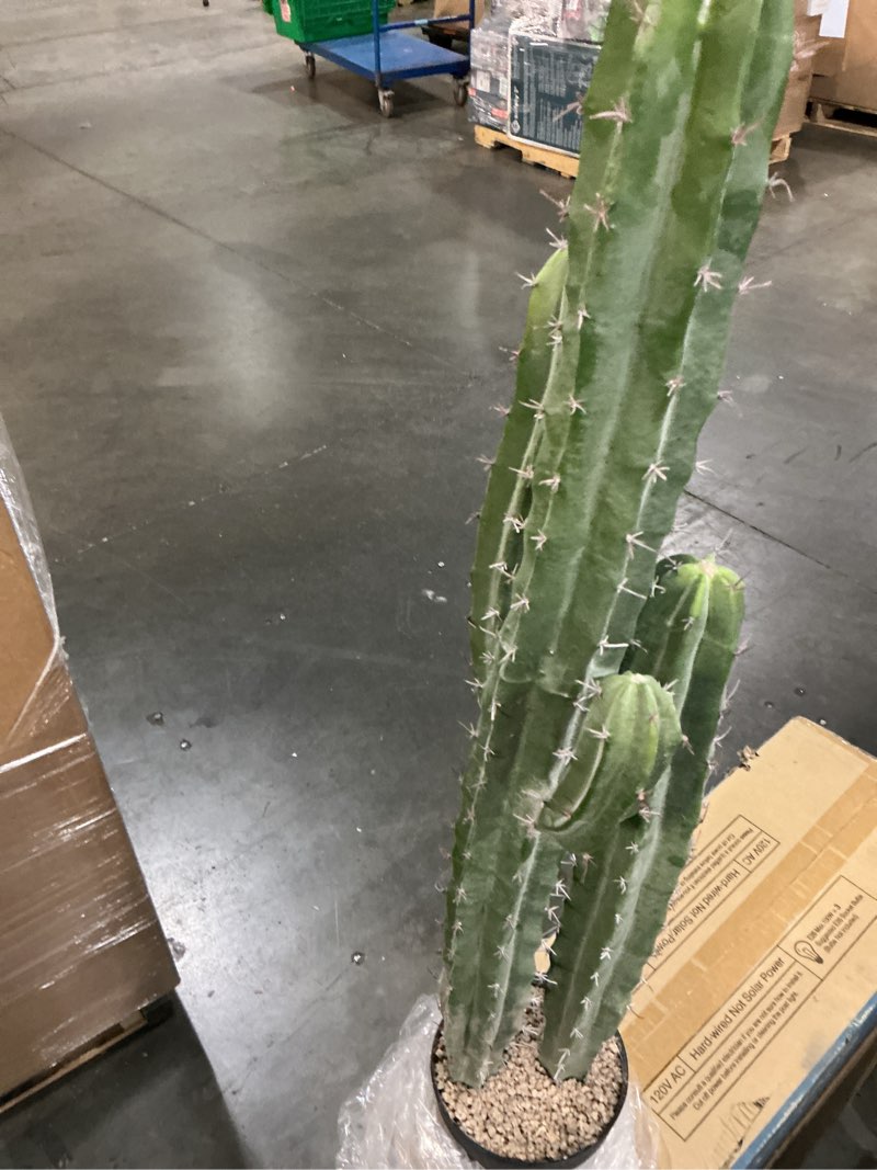 Condition photo showing New/Like New for artificial cactus fake big cactus 36 inch faux cacti plants for home garden office store decoration