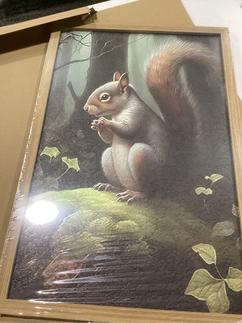 Condition photo showing New/Like New for SAMHOU Framed Vintage 3D Textured Wall Art, Hand Drawn Sandstone Squirrel Prints Pictures, Dark Nature Animal Wall Decor for Living Room Bedroom Bathroom Nursery 16x24 inch Light Gray Squirrel Framed 24"L x 16"W