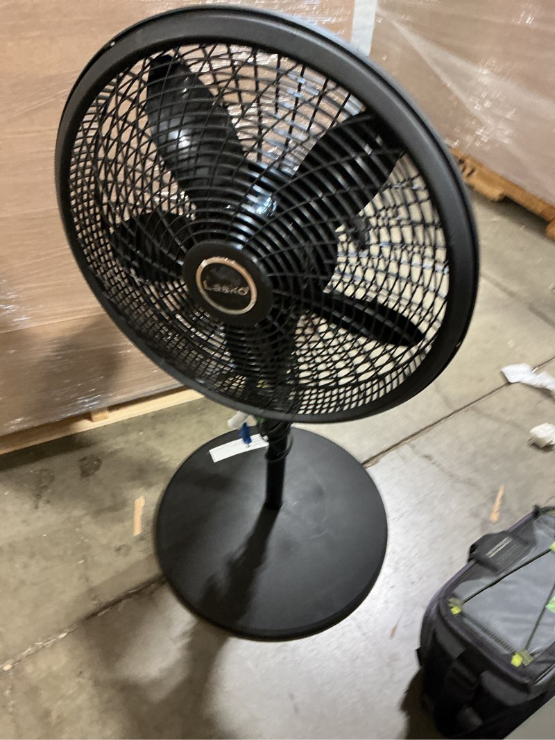 cyclone 18 in. 3 speed oscillating pedestal fan for home in black with adjustable height, tilt back head, easy assembly