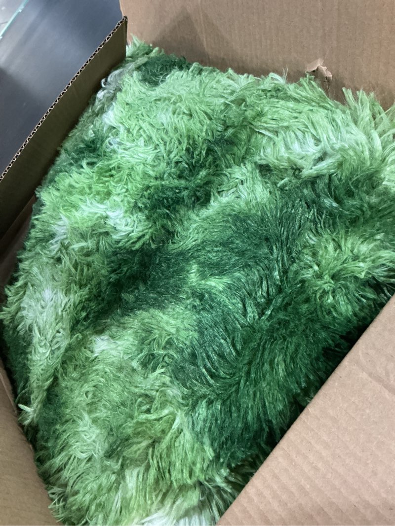 Condition photo showing As Is for hqayw 5x8 green area rugs for living room, tie-dyed forest moss green ultra soft fluffy washable non-slip rug, plush shaggy modern indoor carpet for kids girls boys dorms nursery bedroom home decor 5' x 8' (rectangular) dark green