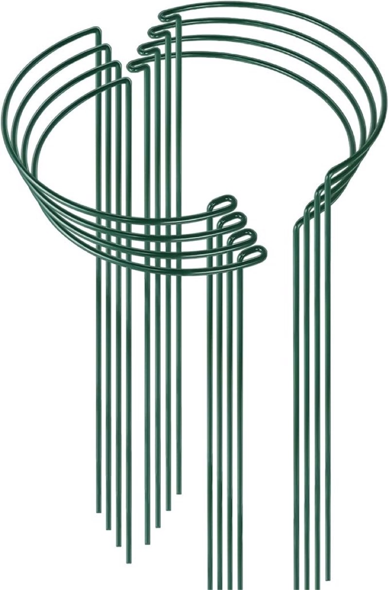 higift 8 pack 24 inch plant support stakes, 10" wide x 24" high half round metal garden plant stake peony support cage, green plant support ring border for tomato,hydrangea,flower indoor outdoor