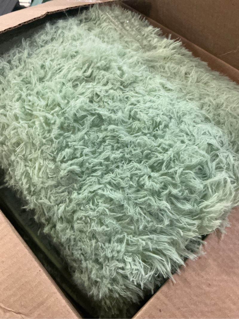 Condition photo showing As Is for FinRe?c 8x10 Feet Rugs for Bedroom Living Room, Light Green Fuzzy Shaggy Area Rug, Non-Slip Fluffy Furry Rugs for Kids Room Dorm Room Home Decor, Indoor Plush Floor Carpet Light Green 8' x 10' (Rectangular)