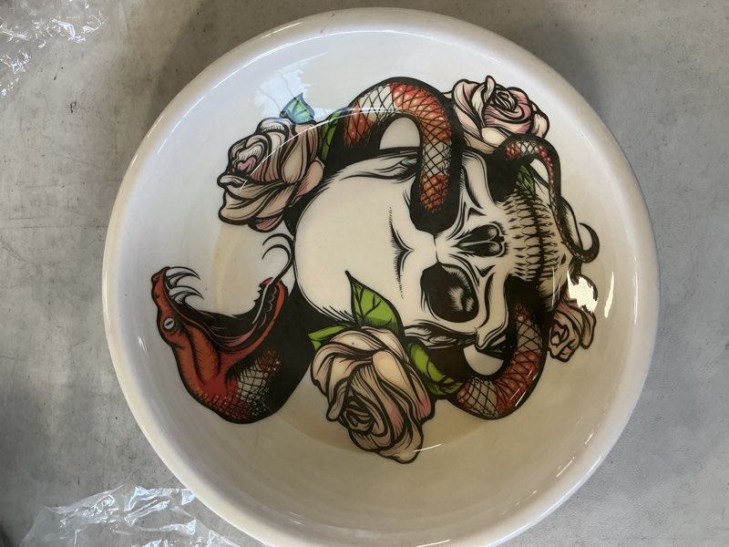 Condition photo showing New/Like New for Multipet Komodo Reptile Bowl with Skull & Snake Design, Large ( 2 pieces) 