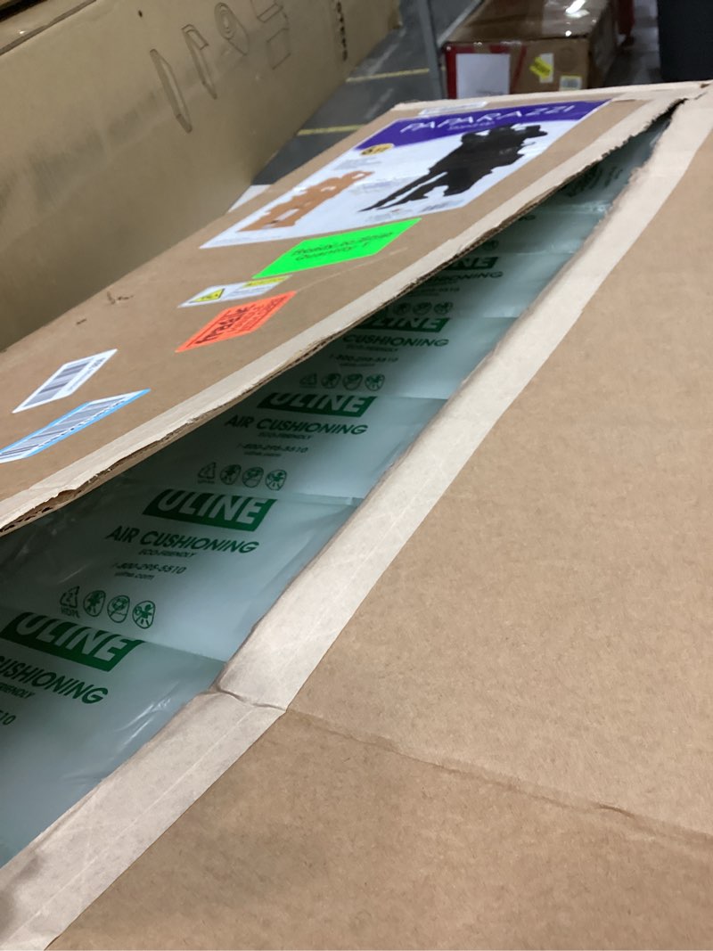 Condition photo showing New/Like New for Beistle Life Size Paparazzi Stand-up with Easel