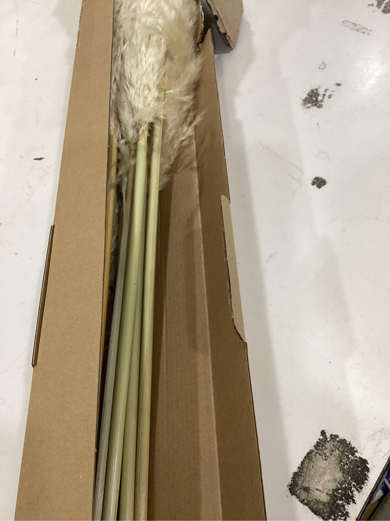 Condition photo showing Good Condition for 40" inch 20 stems natural pampas grass decor tall, pompas grass, tall pampas grass for wedding, party, farmhouse, boho home decor