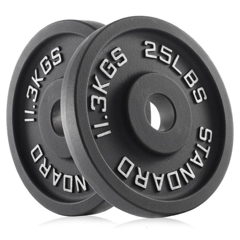 Philosophy Gym Set of  1  Standard Cast Iron Olympic 2-inch Weight Plates (25 LB each)