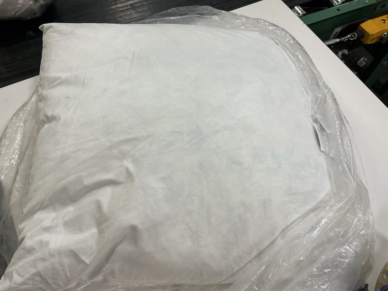 Condition photo showing As Is for premium feather pillow insert (set of 1), 20x20, no color